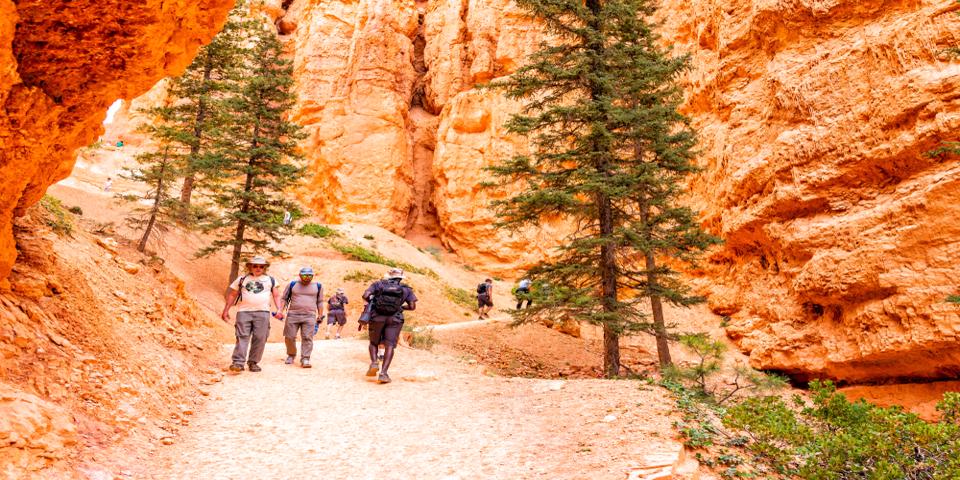 Experiencing Bryce Canyon